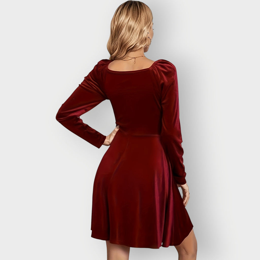 Elnyra | Velvet Skater Dress
