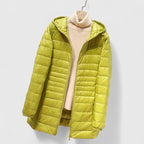 Averlyss | Sophisticated Jacket